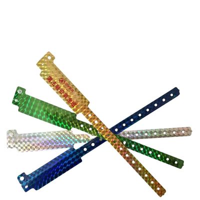 2023 Bracelet d'identité holographique Entrée à l'exposition et au concert Bracelets Glitter